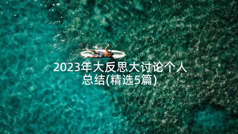 2023年大反思大讨论个人总结(精选5篇)