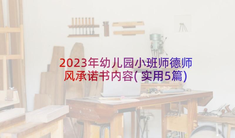 2023年幼儿园小班师德师风承诺书内容(实用5篇)