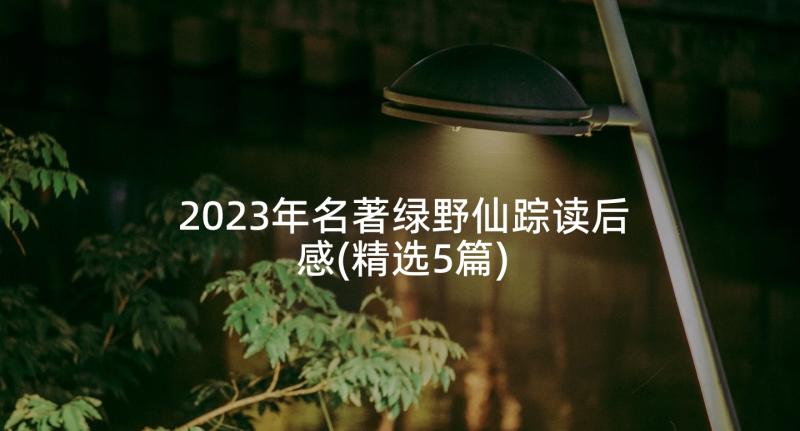 2023年名著绿野仙踪读后感(精选5篇)