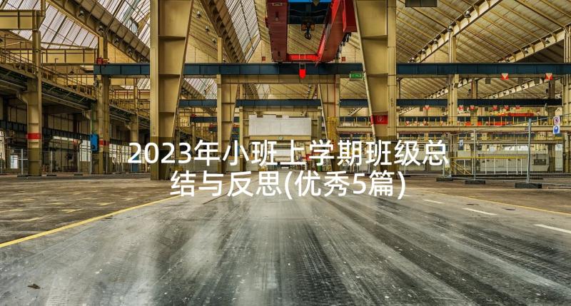 2023年小班上学期班级总结与反思(优秀5篇)