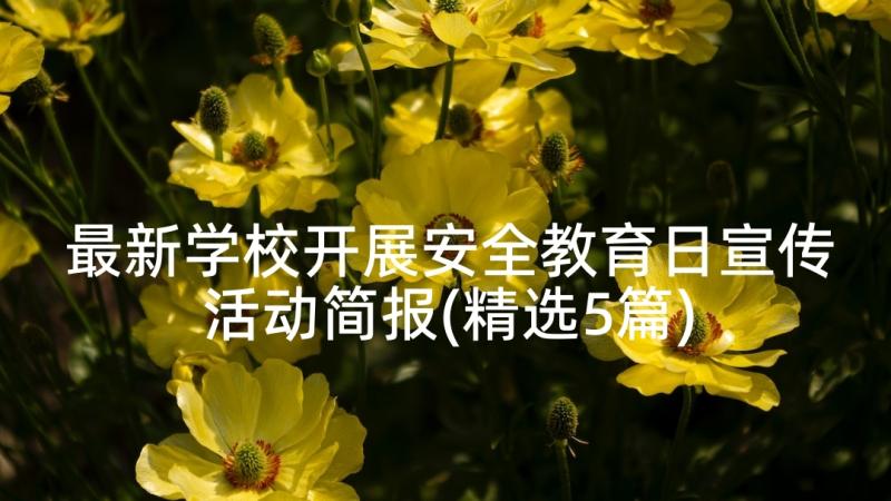 最新学校开展安全教育日宣传活动简报(精选5篇)