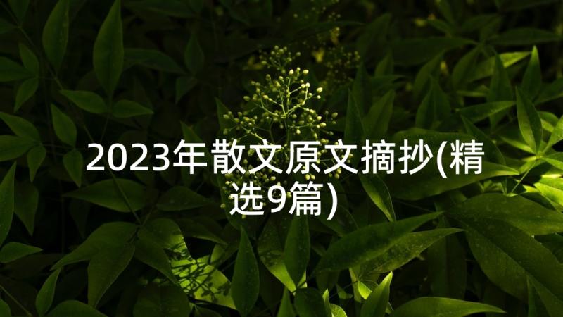2023年散文原文摘抄(精选9篇)