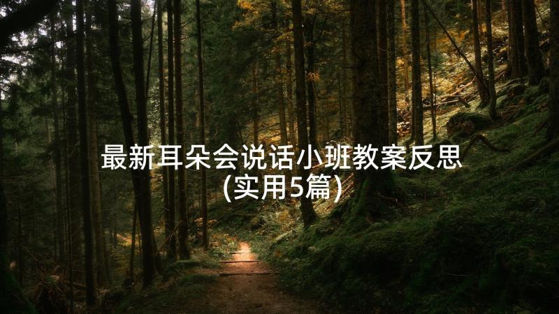 最新耳朵会说话小班教案反思(实用5篇)