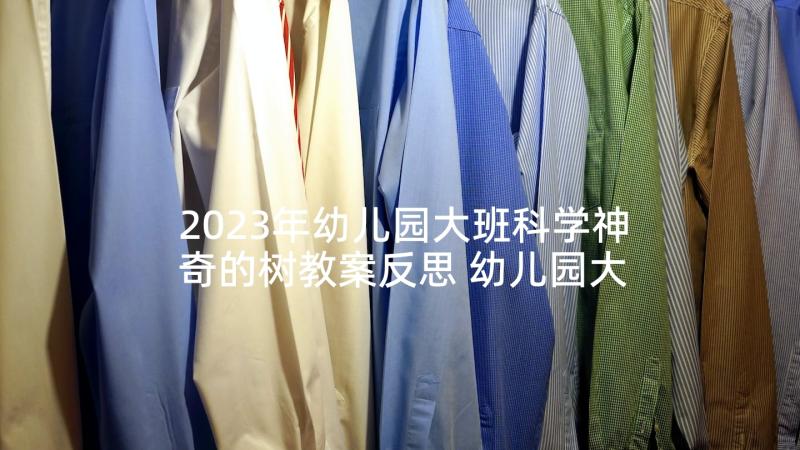 2023年幼儿园大班科学神奇的树教案反思 幼儿园大班科学教案神奇的布(通用10篇)