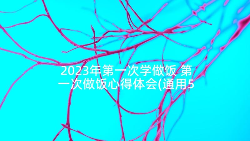 2023年第一次学做饭 第一次做饭心得体会(通用5篇)