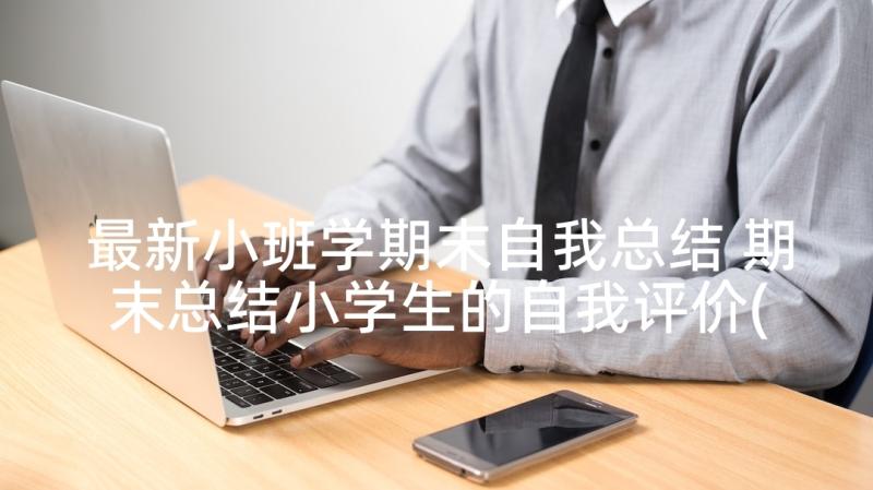 最新小班学期末自我总结 期末总结小学生的自我评价(优秀5篇)