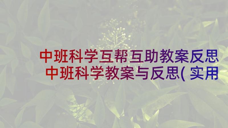 中班科学互帮互助教案反思 中班科学教案与反思(实用5篇)