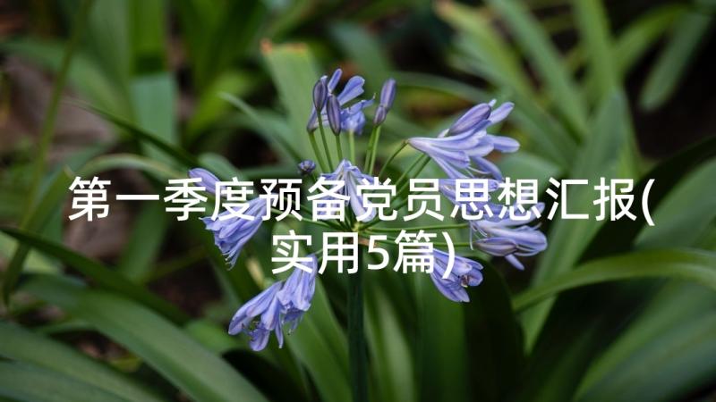 第一季度预备党员思想汇报(实用5篇)