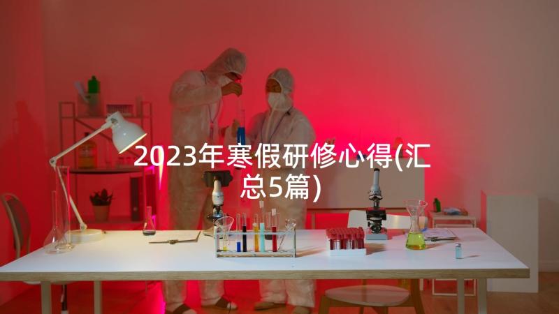 2023年寒假研修心得(汇总5篇)