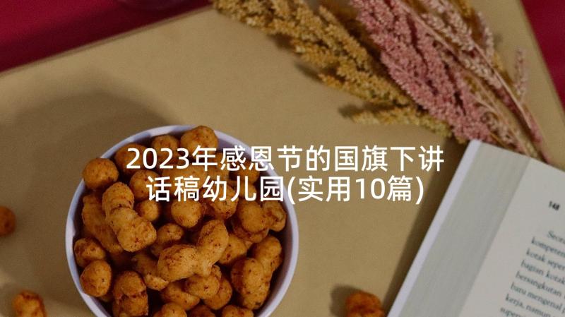 2023年感恩节的国旗下讲话稿幼儿园(实用10篇)