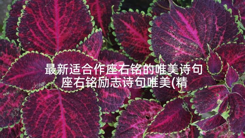 最新适合作座右铭的唯美诗句 座右铭励志诗句唯美(精选5篇)