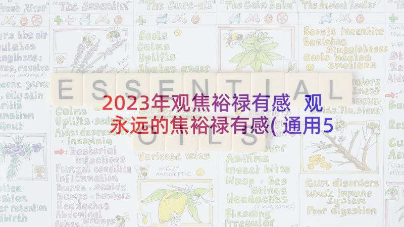 2023年观焦裕禄有感 观永远的焦裕禄有感(通用5篇)