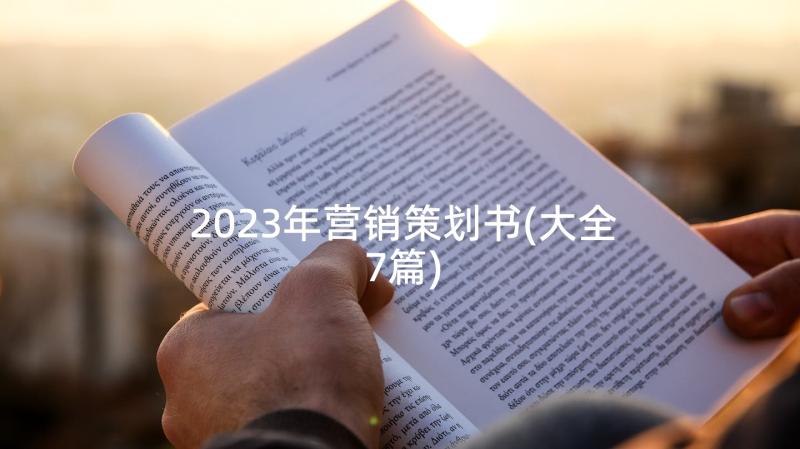 2023年营销策划书(大全7篇)