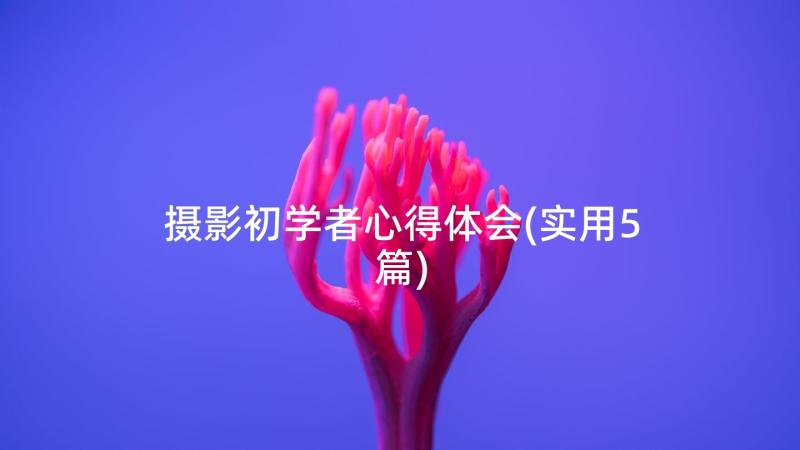 摄影初学者心得体会(实用5篇)