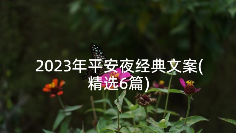 2023年平安夜经典文案(精选6篇)