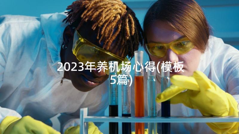 2023年养机场心得(模板5篇)