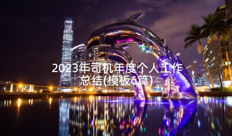 2023年司机年度个人工作总结(模板6篇)