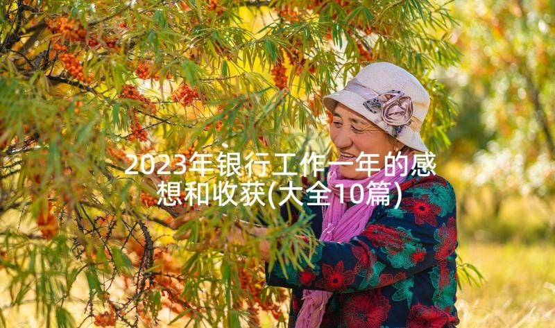 2023年银行工作一年的感想和收获(大全10篇)