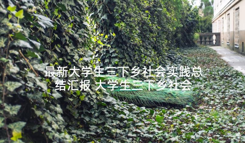 最新大学生三下乡社会实践总结汇报 大学生三下乡社会实践总结(汇总6篇)