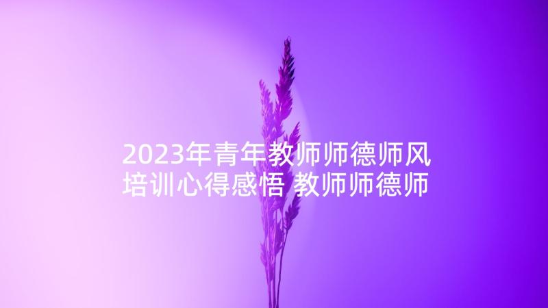 2023年青年教师师德师风培训心得感悟 教师师德师风培训学习心得(模板7篇)