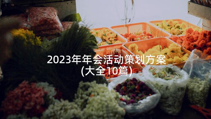 2023年年会活动策划方案(大全10篇)