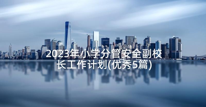 2023年小学分管安全副校长工作计划(优秀5篇)