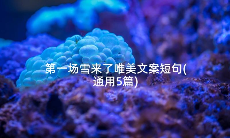 第一场雪来了唯美文案短句(通用5篇)