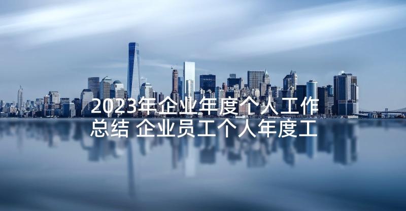 2023年企业年度个人工作总结 企业员工个人年度工作总结(优质8篇)