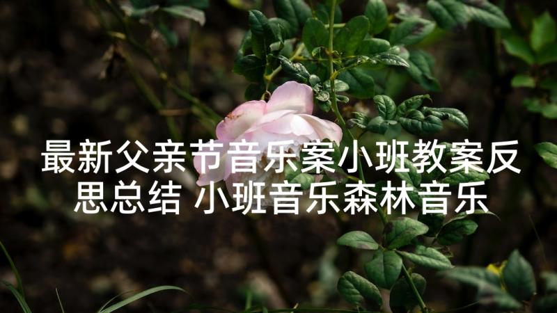 最新父亲节音乐案小班教案反思总结 小班音乐森林音乐会教案及反思(优秀9篇)