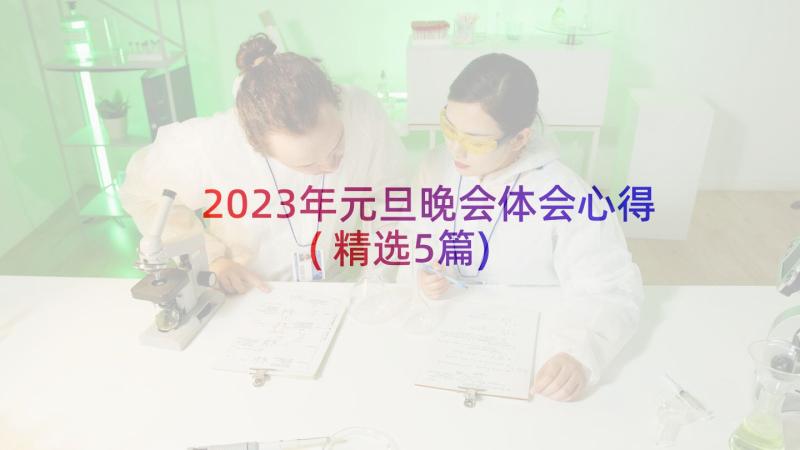 2023年元旦晚会体会心得(精选5篇)