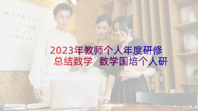 2023年教师个人年度研修总结数学 数学国培个人研修计划(汇总5篇)