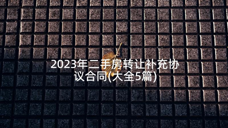 2023年二手房转让补充协议合同(大全5篇)