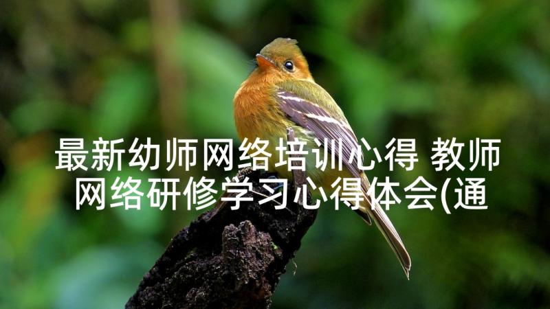 最新幼师网络培训心得 教师网络研修学习心得体会(通用5篇)