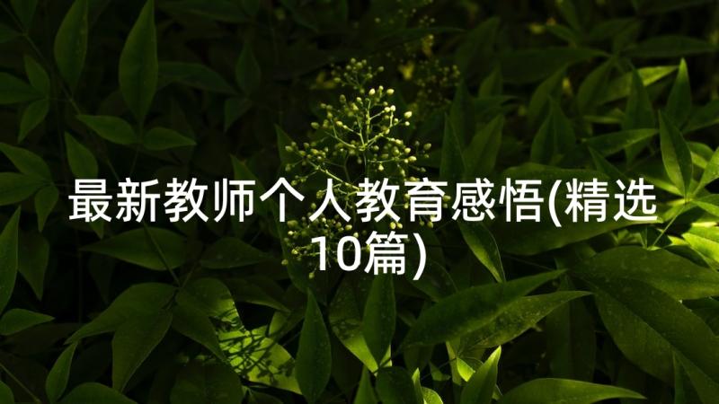 最新教师个人教育感悟(精选10篇)