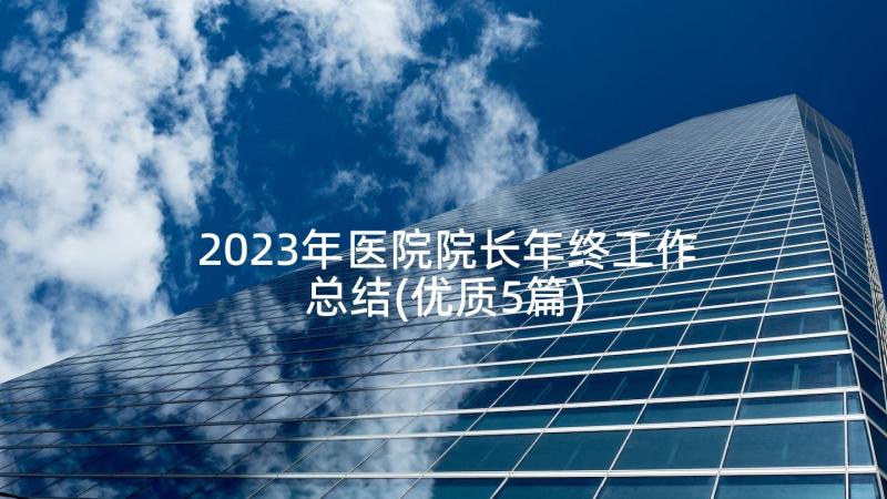 2023年医院院长年终工作总结(优质5篇)