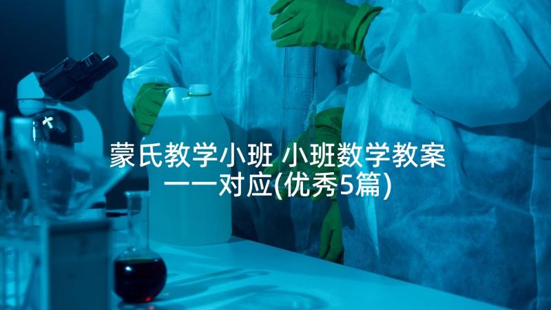 蒙氏教学小班 小班数学教案一一对应(优秀5篇)