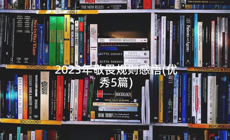 2023年敬畏规则感悟(优秀5篇)