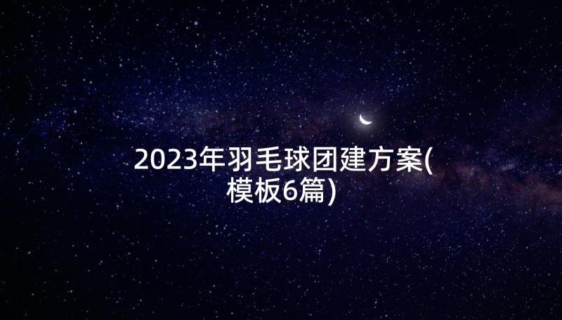 2023年羽毛球团建方案(模板6篇)