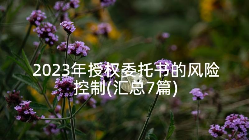 2023年授权委托书的风险控制(汇总7篇)