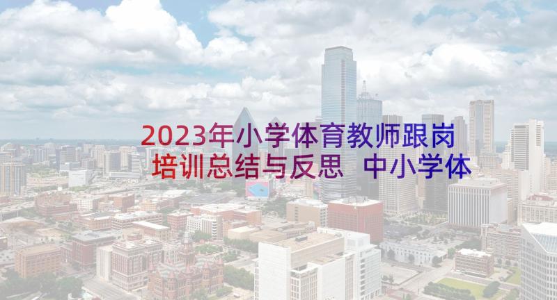 2023年小学体育教师跟岗培训总结与反思 中小学体育教师培训总结(通用5篇)