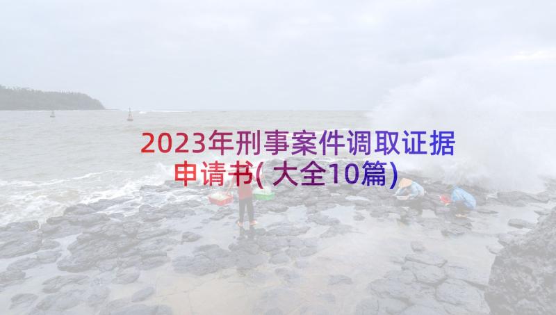 2023年刑事案件调取证据申请书(大全10篇)