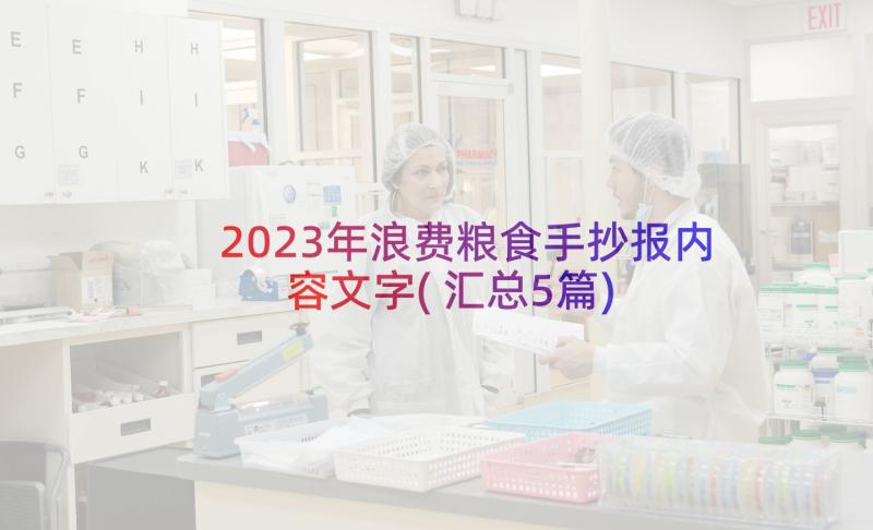 2023年浪费粮食手抄报内容文字(汇总5篇)