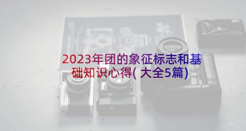 2023年团的象征标志和基础知识心得(大全5篇)