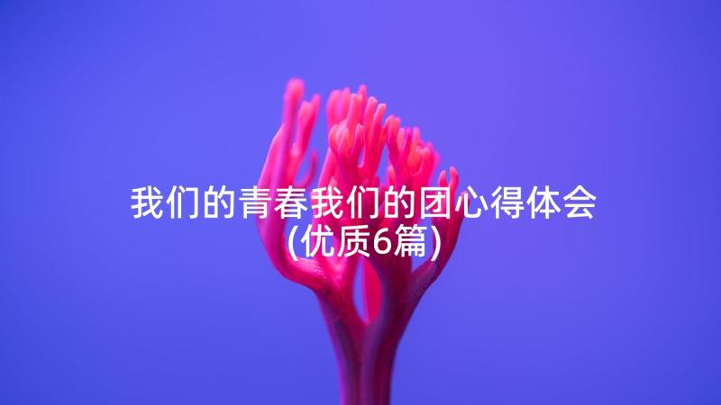 我们的青春我们的团心得体会(优质6篇)