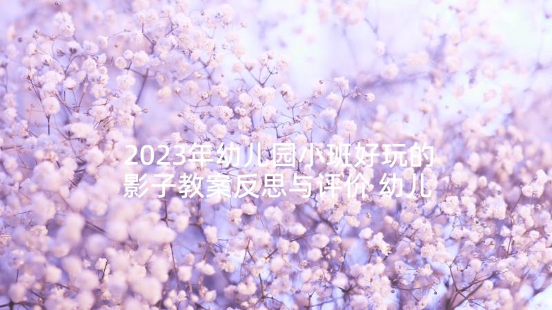 2023年幼儿园小班好玩的影子教案反思与评价 幼儿园小班下学期科学教案好玩的冰含反思(实用5篇)