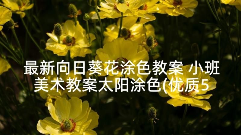 最新向日葵花涂色教案 小班美术教案太阳涂色(优质5篇)