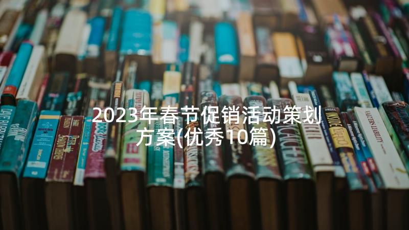 2023年春节促销活动策划方案(优秀10篇)