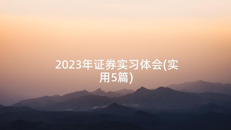 2023年证券实习体会(实用5篇)