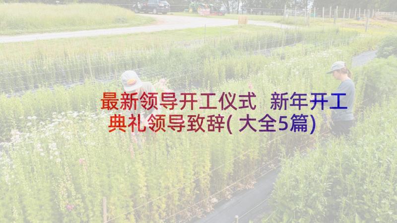 最新领导开工仪式 新年开工典礼领导致辞(大全5篇)