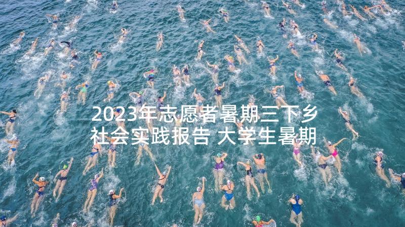 2023年志愿者暑期三下乡社会实践报告 大学生暑期三下乡活动总结多篇(通用9篇)